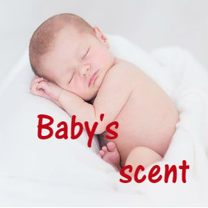 赤ちゃんのいい匂いの秘密と赤ちゃんみたいになれる香水
